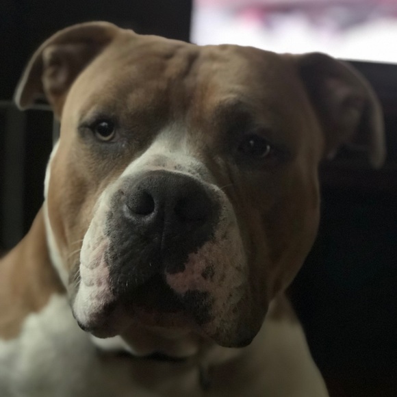 Meet your Posher, Michelle - Picture 3 of 8